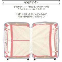 ジュエルナローズキャリーケース55Lの画像