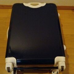 ジュエルナローズキャリーケース55Lの画像