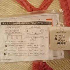 ジュエルナローズキャリーケース55Lの画像