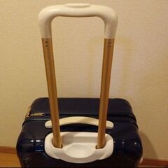 ジュエルナローズキャリーケース55Lの画像