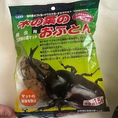 カブトムシ・クワガタ　飼育セットの画像