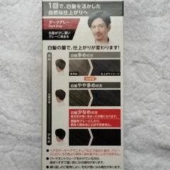 メンズビゲン グレーヘア（白髪染め）ダークグレーの画像