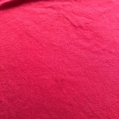 赤、ラルフローレンTシャツの画像