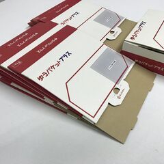 ゆうパケットプラス 専用箱ｘ10枚の画像