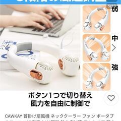 ネッククーラーピンク typeC充電美品の画像