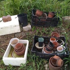 植木鉢あげますの画像