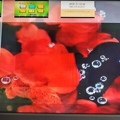 パナソニック Panasonic VIERALink ブルーレイレコーダーの画像
