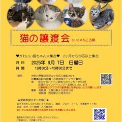 猫の譲渡会　BYにゃんころ隊 　9/7