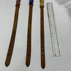 犬用首輪の画像