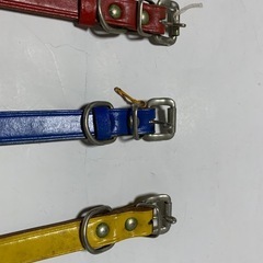 犬用首輪の画像