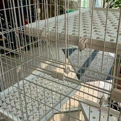 0807-164 キャットケージの画像