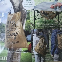 【新品未開封】LL Bean テーブルハンモック　2個セットの画像