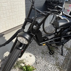 bronx buggy stretch の画像