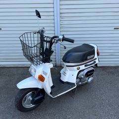 即乗り！実働！ホンダ スカッシュ！AB12デラックス！2ストスクーター！の画像