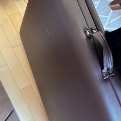 エステベットの画像