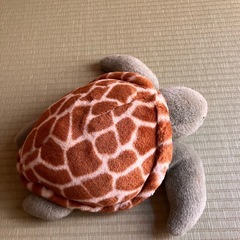 ウミガメぬいぐるみの画像