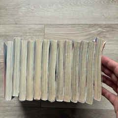 最強職《竜騎士》から初級職《運び屋》に勇者達から頼りにされてます。13巻セット
の画像