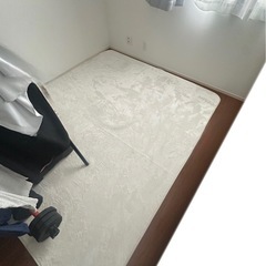 【ニトリ 】白カーペット 200×240 ラグマット シャギータイプ（1年使用）美品！の画像
