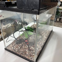 水槽 セット 一式の画像