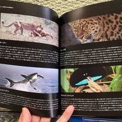 earth アース　プレミアムエディション　DVD の画像