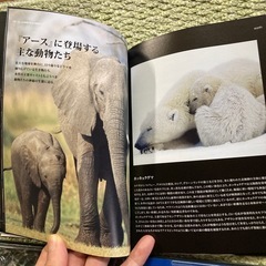 earth アース　プレミアムエディション　DVD の画像