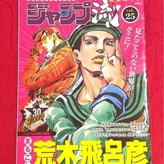 ジャンプ流！vol.25 荒木飛呂彦 DVD ガイド本セットの画像