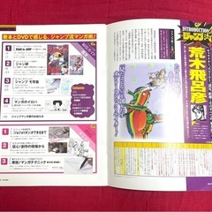 ジャンプ流！vol.25 荒木飛呂彦 DVD ガイド本セットの画像