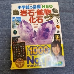 動物　昆虫　岩石•鉱物•化石　図鑑　セット売りの画像