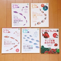 コーラルフィッシュ 雑誌 11冊セット 海水魚 熱帯魚 アクアリウム 海水魚 の画像