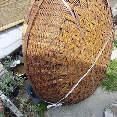 竹ザル　特大　お茶等で使用の業務用の画像