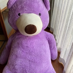 紫色のクマのぬいぐるみの画像