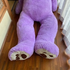 紫色のクマのぬいぐるみの画像