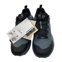186000 新品未使用 Salomon サロモン スニーカー GENESIS GORE-TEX 145464  25 ブルーグレー系 レディース [250129HM110169]の画像