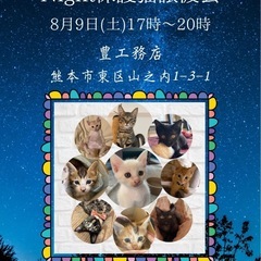 🩷17時から20時までの保護猫譲渡会です🩷