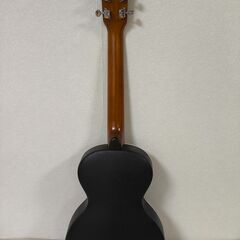 ANBOY REGARO SERIES RE-22の画像