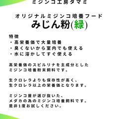 タマミジンコ5g　500円～　他に餌も販売しております。の画像