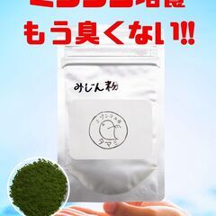 タマミジンコ5g　500円～　他に餌も販売しております。の画像