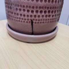 陶器鉢 オシャレ鉢 ロング鉢 ピンク鉢 縦長鉢 ドット柄の画像