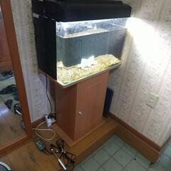 ６０センチガラス水槽セットの画像