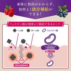 【新品】フェリチン鉄 3.3mg 鉄分 マルチビタミン サプリ ビタミン ミネラルの画像