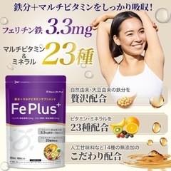 【新品】フェリチン鉄 3.3mg 鉄分 マルチビタミン サプリ ビタミン ミネラルの画像