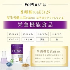 【新品】フェリチン鉄 3.3mg 鉄分 マルチビタミン サプリ ビタミン ミネラルの画像