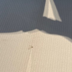 エンライト　ソファの画像