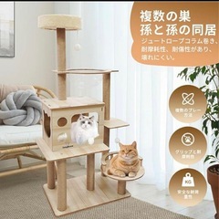 新品、キャットタワー ハンモック 木製 スリムデザイン 大型猫用の画像