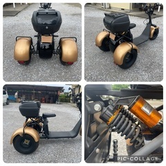 EVトライク　マイカー登録　ヘルメット不要　自賠責8年2月の画像