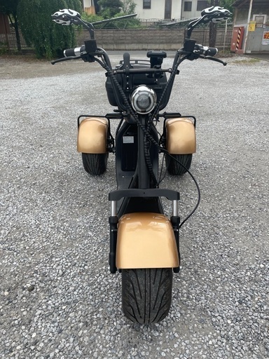 EVトライク　マイカー登録　ヘルメット不要　自賠責8年2月