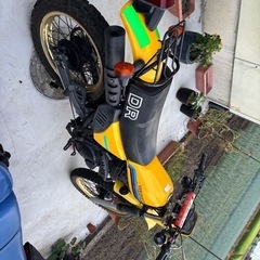 SUZUKI　DR250の画像