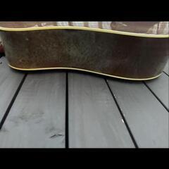 Tokai Humming bird W-150 アコギの画像