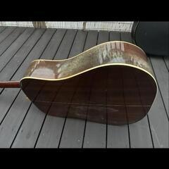 Tokai Humming bird W-150 アコギの画像