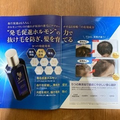 ホルモ プレミアム ヘアグロウ エッセンスの画像
